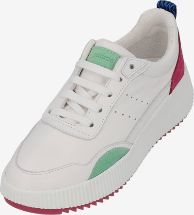 Palado Chaussure à lacets 'PA 0035' en vert clair / rouge / blanc, Vue avec produit