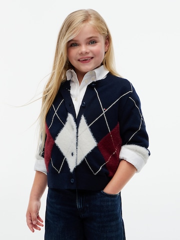 TOMMY HILFIGER - Cárdigan en azul: frente