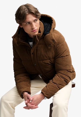 Superdry & Co Winter jacket 'Premium' in Brown