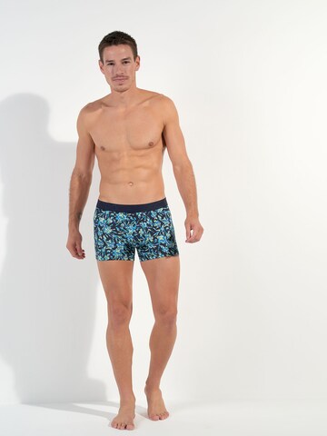 HOM Boxershorts ' Santiago ' in Blauw: voorkant