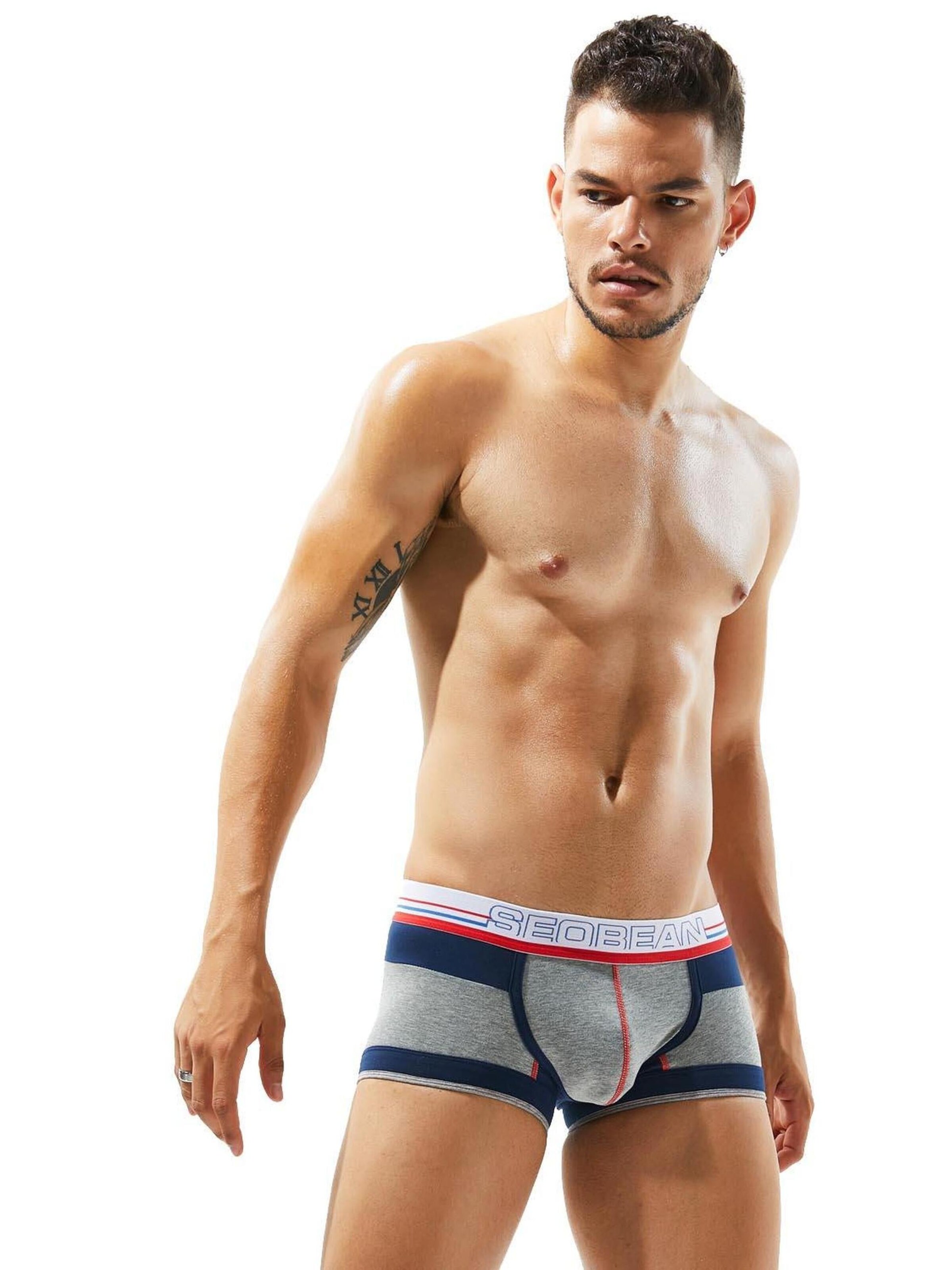 SEOBEAN Boxer shorts in Grey