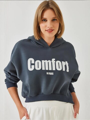 Bianco Lucci Sweatshirt 'Sweatshirts' in Grey