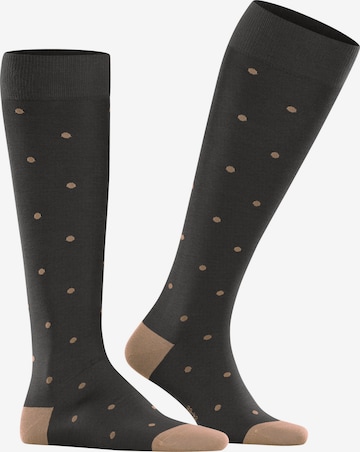 FALKE Knee High Socks 'Dot' in Brown: front