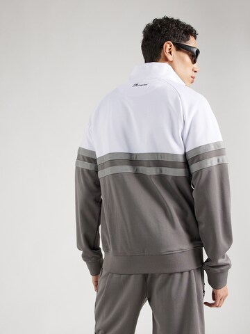 ELLESSE - Sudadera con cremallera 'Rimini' en gris