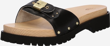 Scholl Iconic Pantofle 'PESCURA Lea' – černá: přední strana