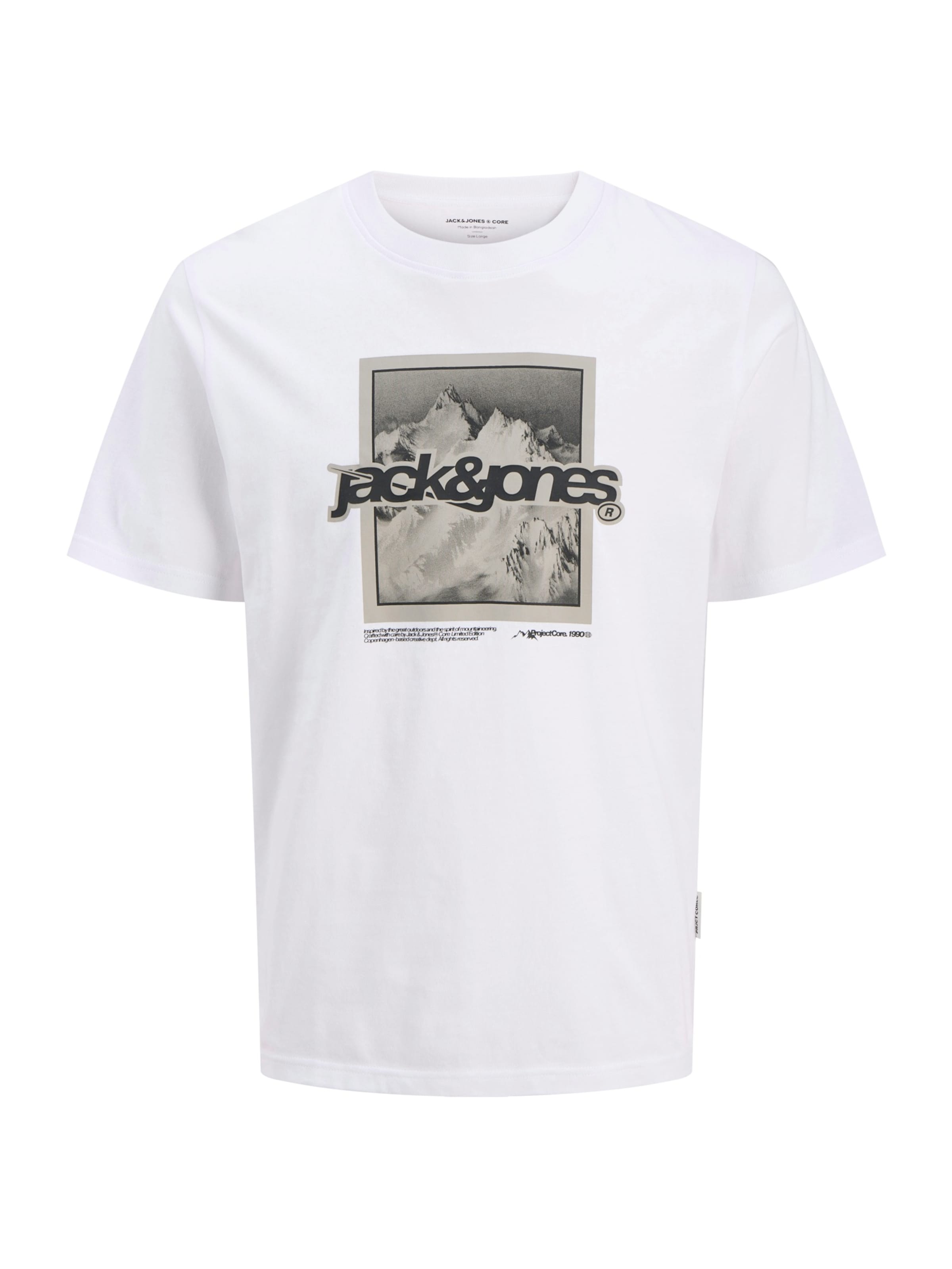 JACK & JONES Shirt 'JCOFLARE' in Taupe / Black / White, Item view