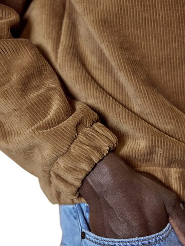 FAGUO Sweater 'Amboise' in Brown