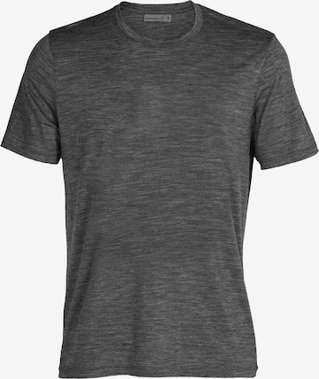 ICEBREAKER Функциональная футболка 'Tech Lite II' в Серый: спереди