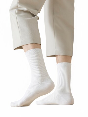Millo Socken 'Cosy Steps'‌‌‌‌‌‌‌ in Weiß