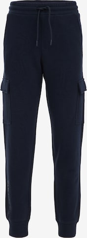 WE FashionHlače - plava boja: prednji dio