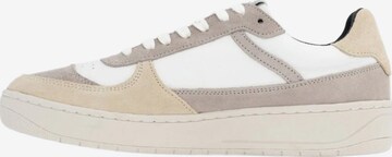 Baskets basses 'Zeta' Morrison en beige : devant