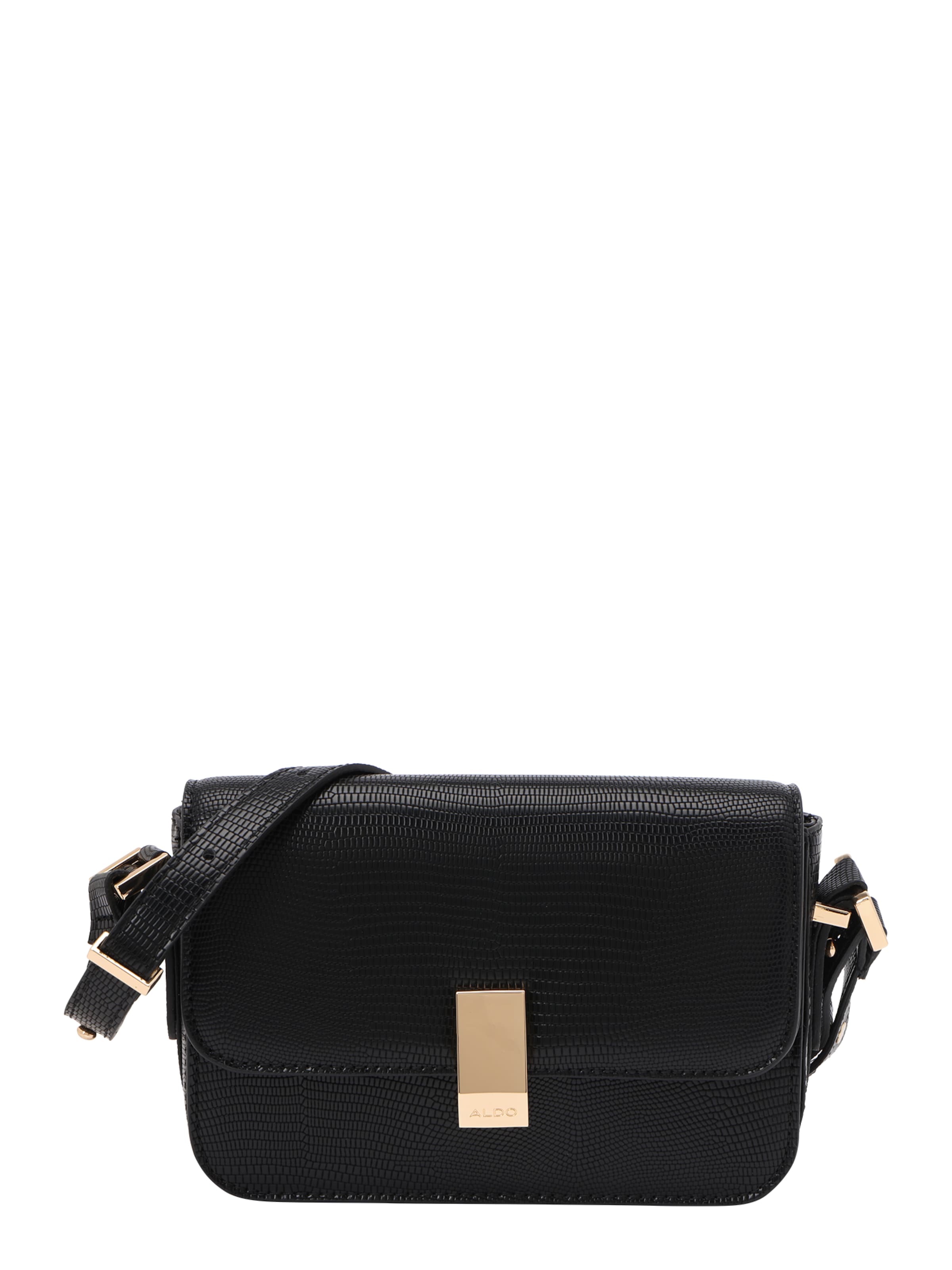 ALDO Crossbody bag 'ETEINI' in Black: front