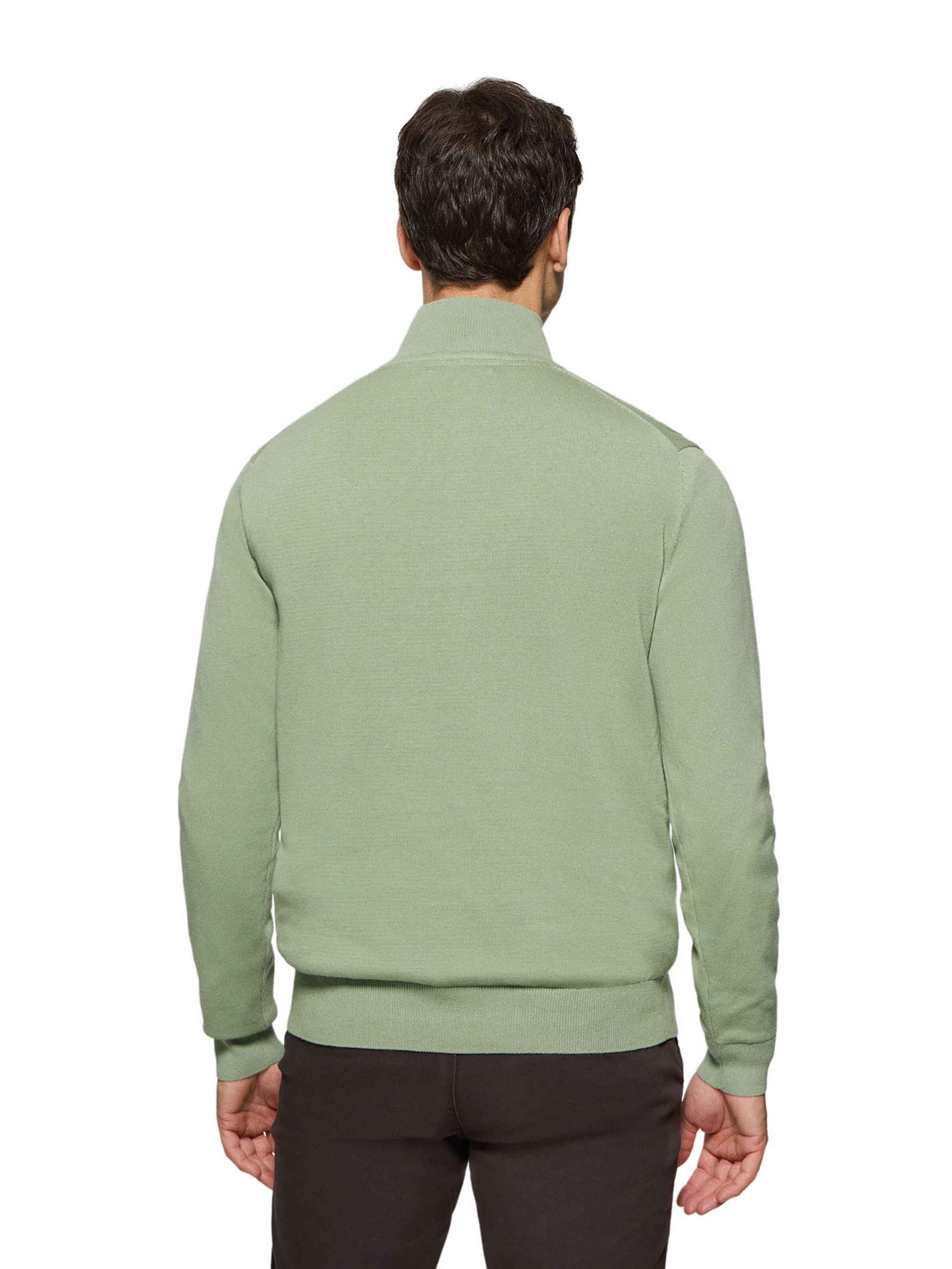 Polo Club Pullover in Grün