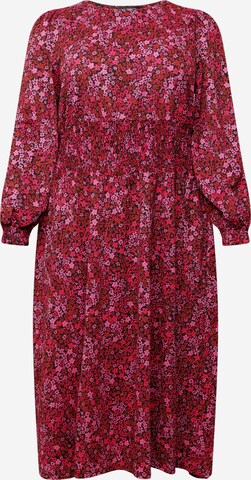 Dorothy Perkins Curve Платье в Ярко-розовый: спереди