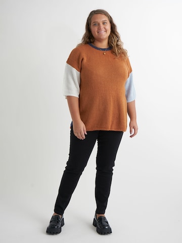 Aprico Sweater 'APClifton' in Brown