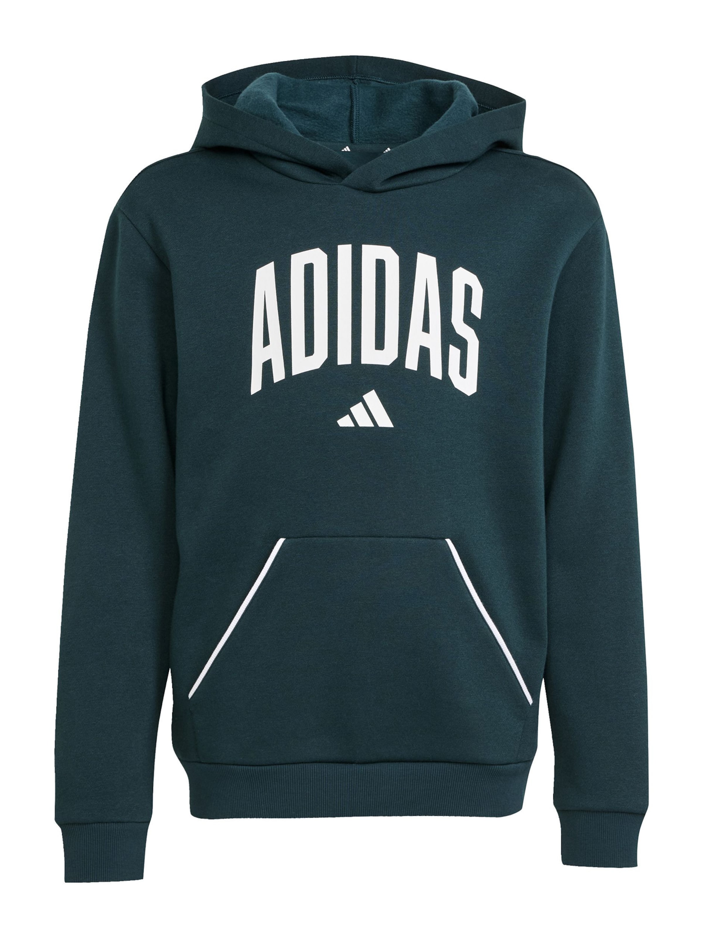 ADIDAS SPORTSWEAR Спортен суитшърт в зелено: отпред