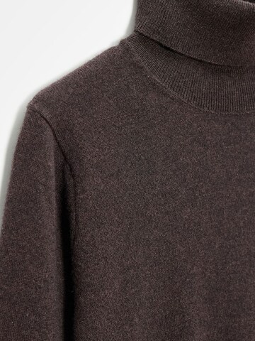 Dilvin Pullover 'Pullover'‌‌‌‌‌ in Braun