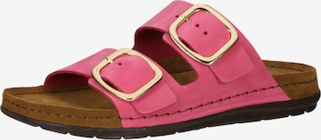 ROHDE Mules in Pink: front