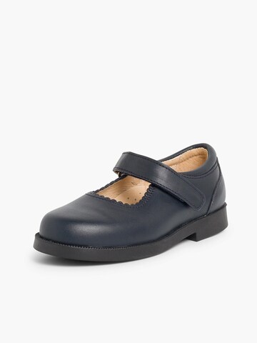 Pisamonas Flats in Blue: front