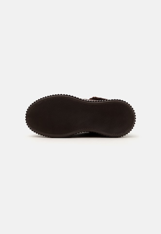 Baskets basses Karl Lagerfeld en marron