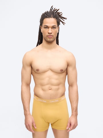 Calvin Klein Underwear Шорты Боксеры в Бежевый