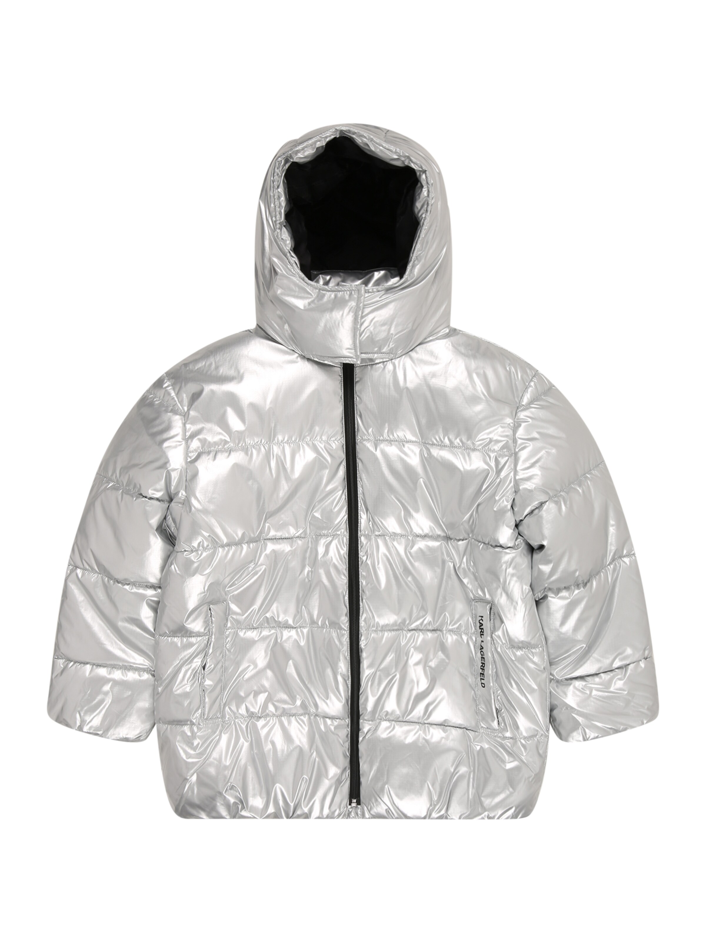 Karl Lagerfeld Зимняя куртка в Серый: спереди