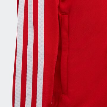 ADIDAS ORIGINALS Strój do biegania 'Adicolor Sst' w kolorze czerwony