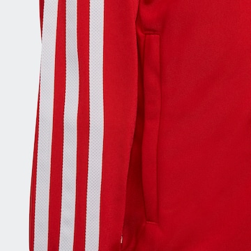 ADIDAS ORIGINALS Joggingpak 'Adicolor Sst' in Rood