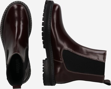 ANGULUS Chelsea Boots in Braun