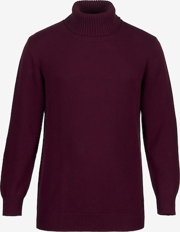 JP1880 Sweater in Purple: front