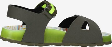 Sandales Kickers en vert