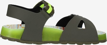 Kickers Sandalen in Groen