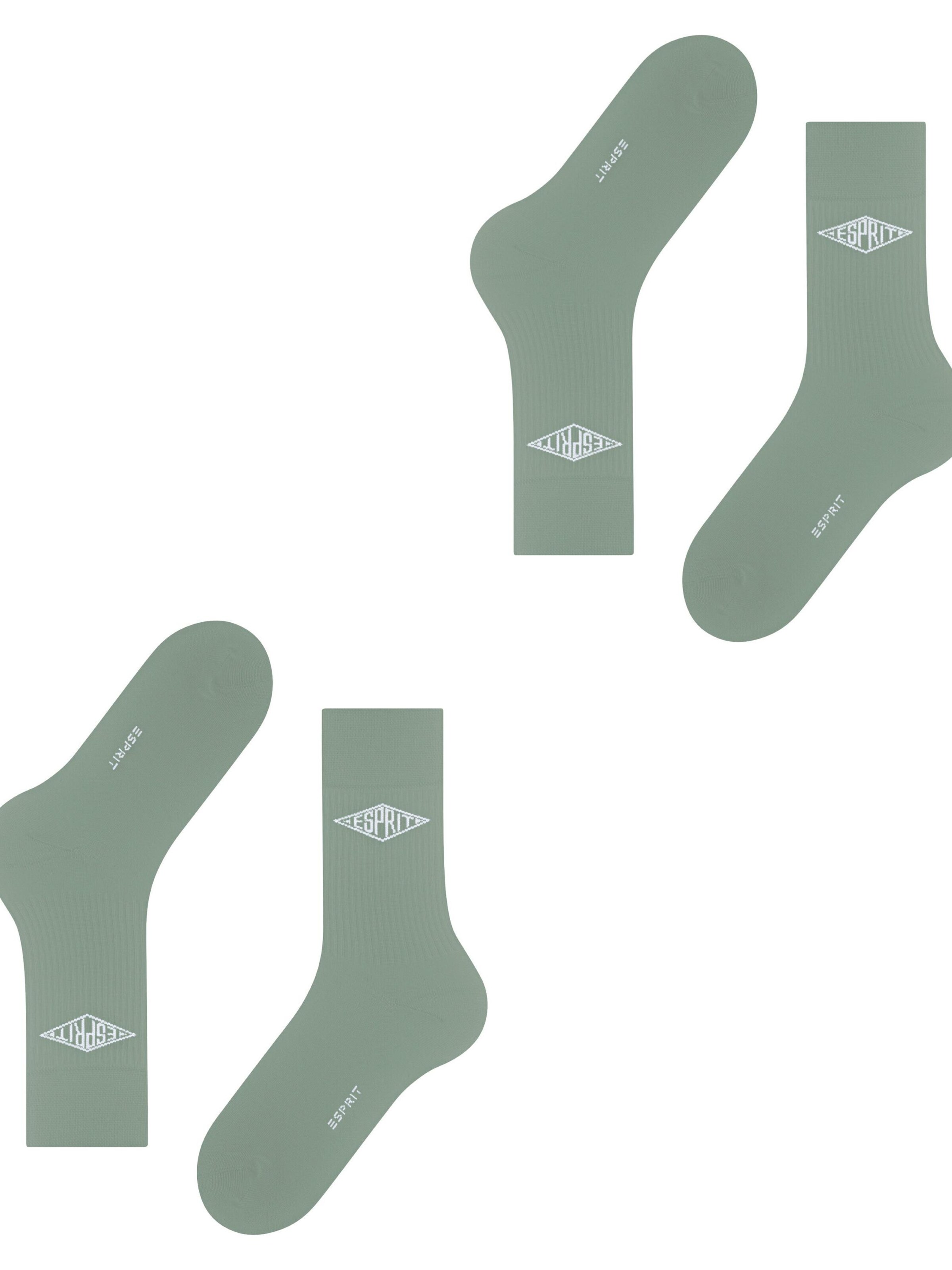 ESPRIT Socks 'Unisex Logo 2-Pack' in Grey