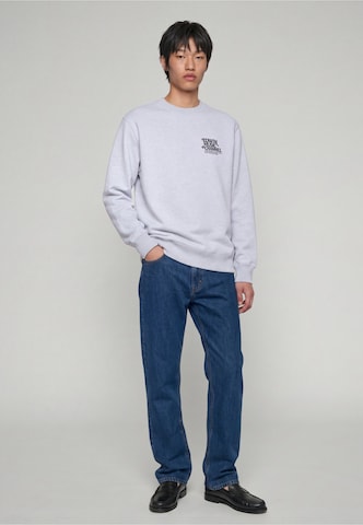 EDWIN Sweatshirt 'Rare Spins' in Grey