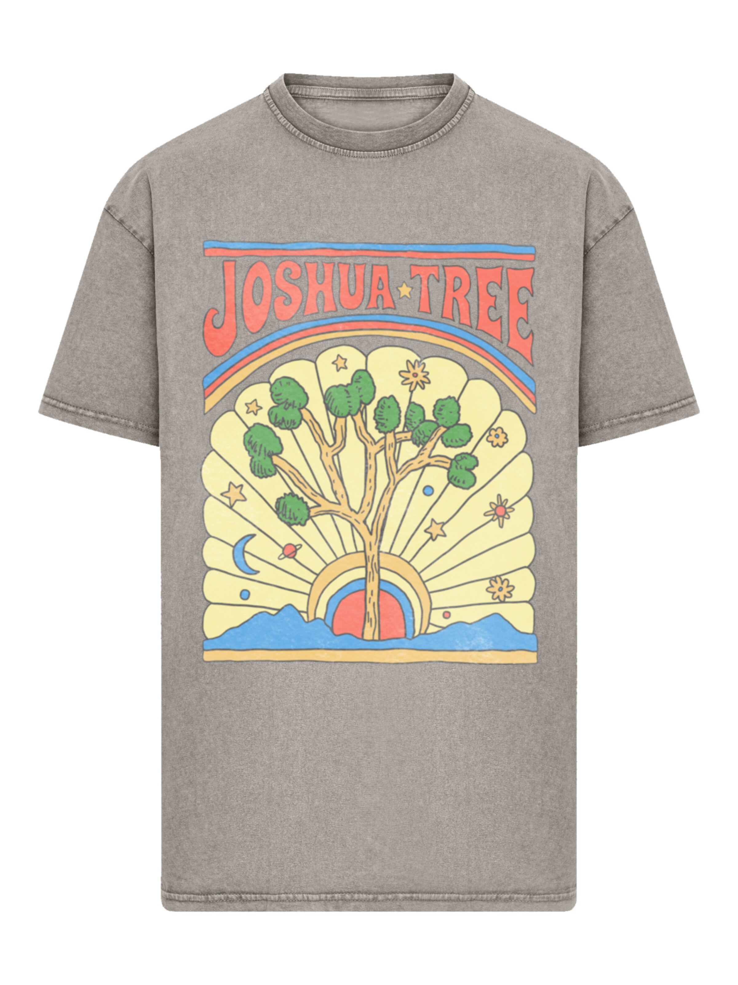 F4NT4STIC Shirt 'US National Parks Joshua Tree' in Grey: front