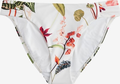 Next Bikinihousut värissä vihreä / punainen / musta / offwhite, Tuotenäkymä