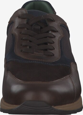 Galizio Torresi Sneakers '416128' in Brown