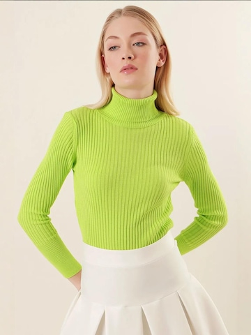 Bigdart Sweater in Green: front
