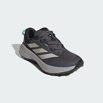 ADIDAS TERREX Loopschoen 'Tracefinder Plus' in Grijs