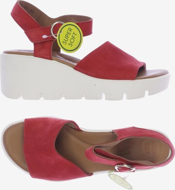 Paul Green Sandals & High-Heeled Sandals in 36 in Red: front