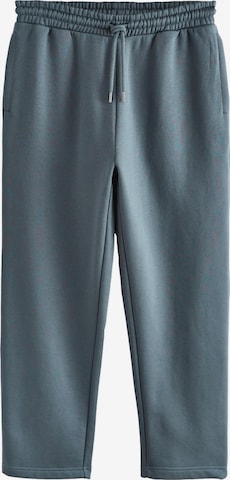 mėlyna Next Standartinis Kelnės: priekis