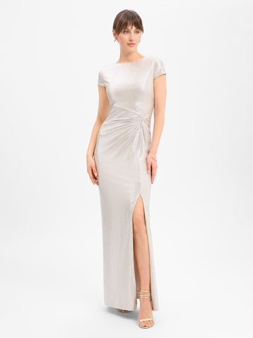 Ambiance Kleid in Silber: Vorderseite