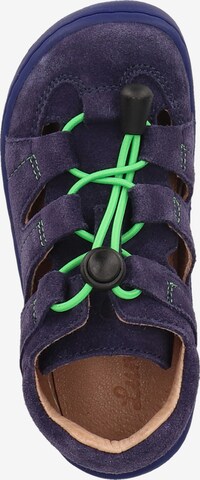 LURCHI Sandals & Slippers in Purple