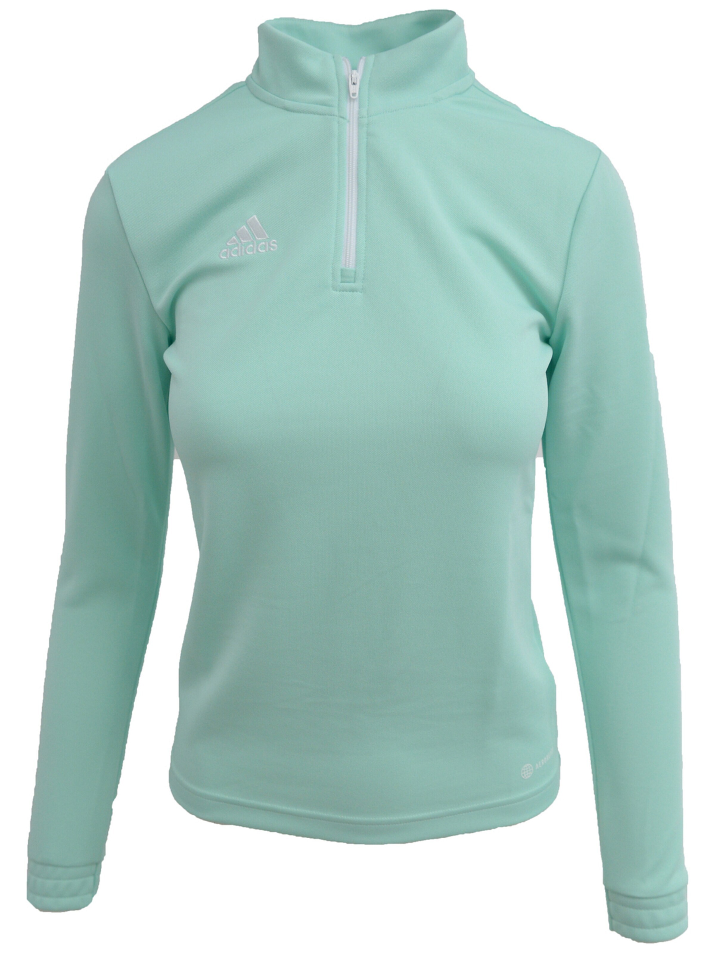 ADIDAS Blouse 'adidas Entrada 22 Training Top' in Green