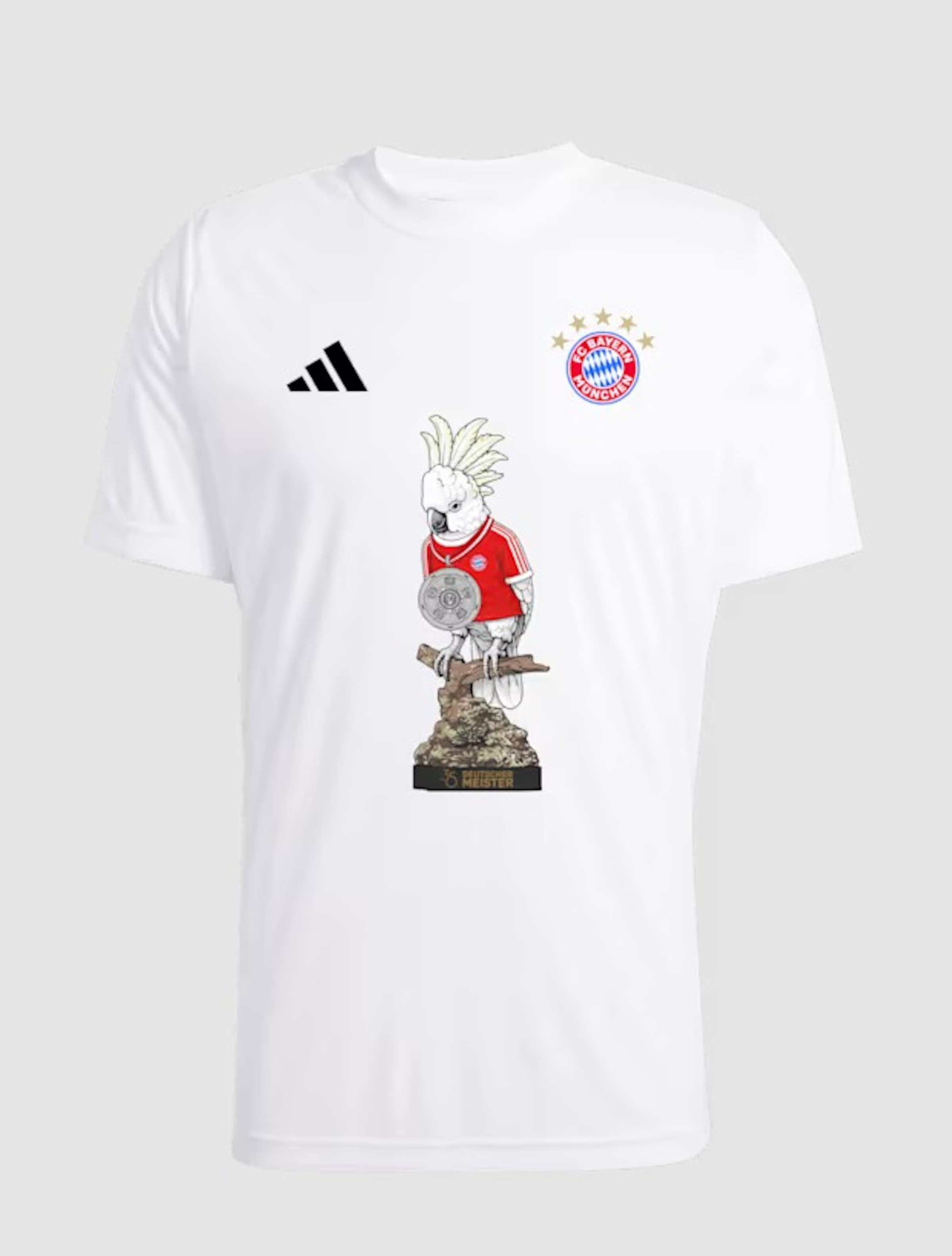 ADIDAS PERFORMANCE T-Shirt Deutscher Meister 2026 Kinder in Weiß: Vorderseite