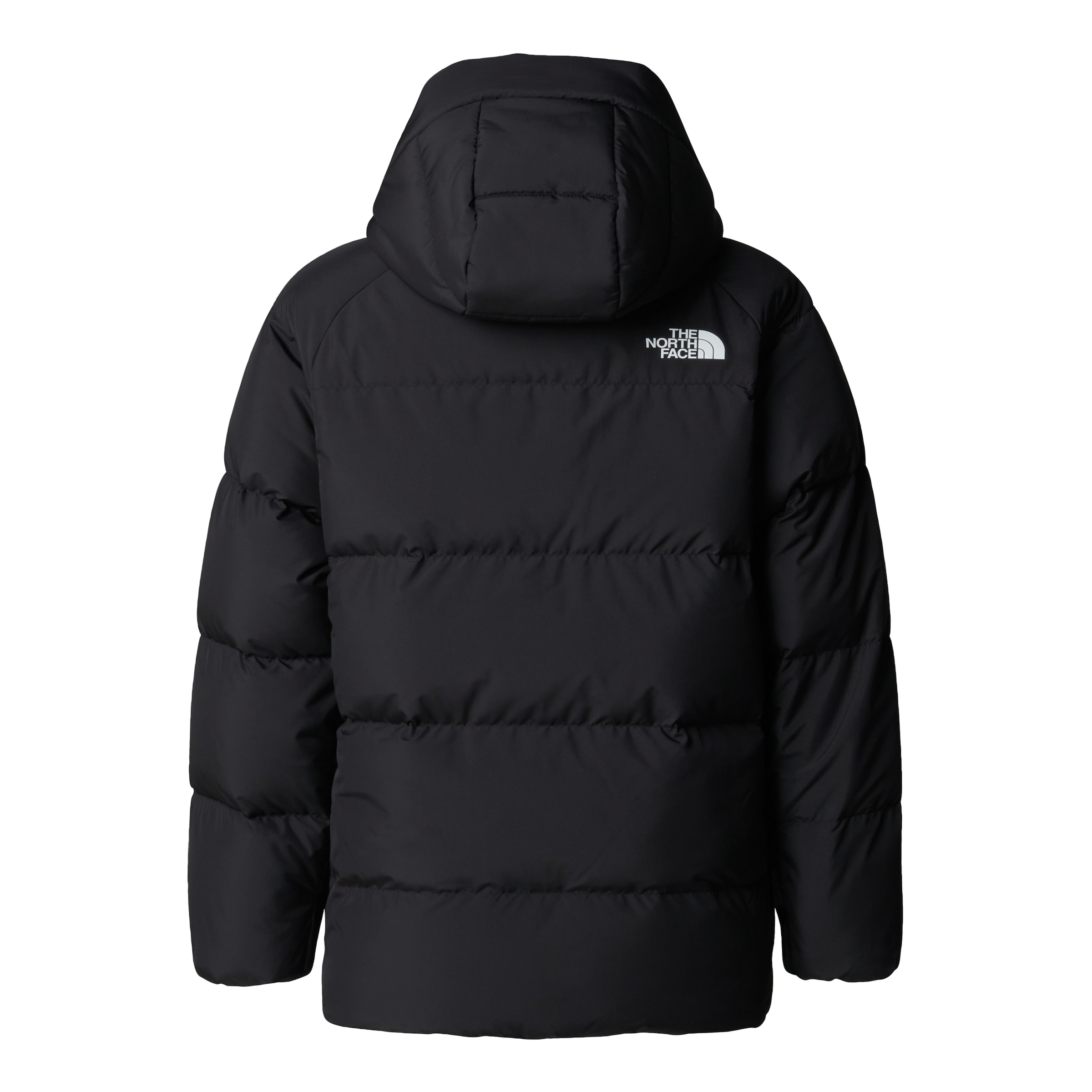 THE NORTH FACEOutdoor jakna - crna boja