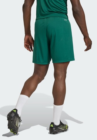 ADIDAS PERFORMANCE Regular Sports trousers 'ENT26' in Green