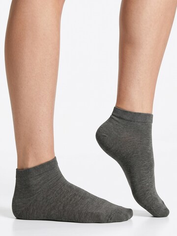 footstar Socks 'EVERYDAY!' in Grey