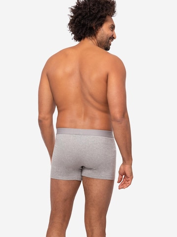 Almonu Boxershorts 'Every Day Comfort' in Grijs