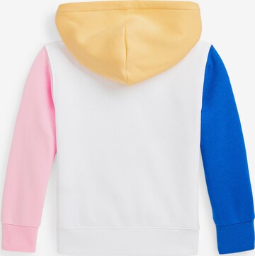 Polo Ralph Lauren Sweatshirt in Mischfarben